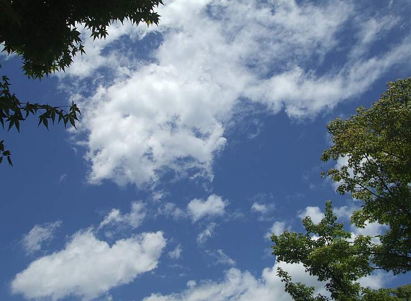 高速 割引 平日 No251 心に残る夏の空、夏の雲－。 : ニッポン デジカメ 見て歩き 絵画