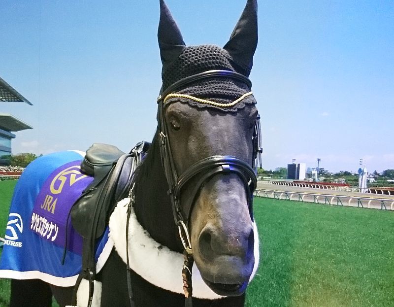 No361 本物と間違えました 新宿駅のお馬さん ニッポン デジカメ 見て歩き