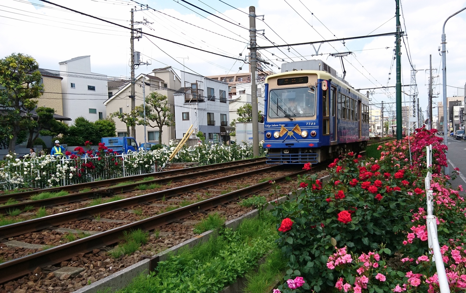 No434 都電荒川線 幸せのバラロード ニッポン デジカメ 見て歩き